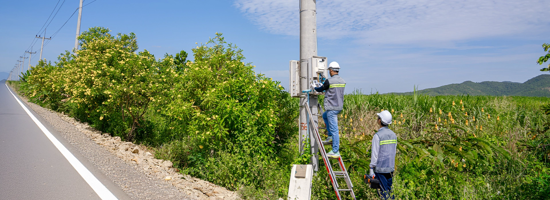 Fast Abnormal Detection